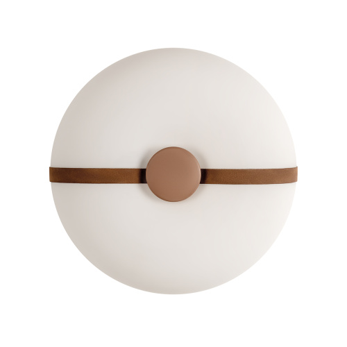 10473 Потолочный светильник LOFT IT Bolina фото 3