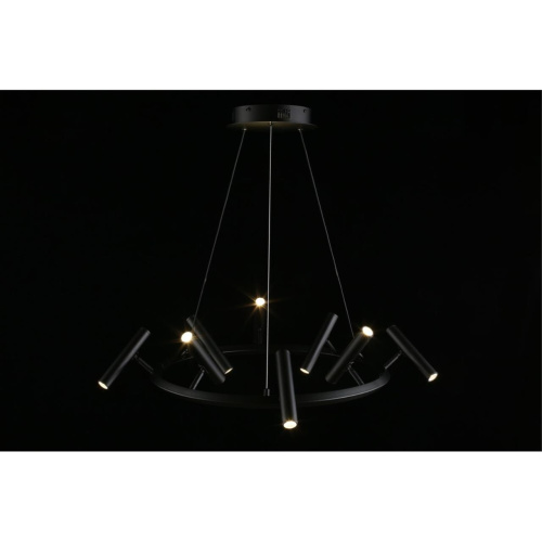 Люстра подвесная APL.067.03.40 фото 11