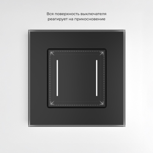 Сенсорный выключатель двухклавишный с подсветкой (черный) W4522008 фото 5 Сенсорный выключатель двухклавишный с подсветкой (черный) W4522008 фото 5