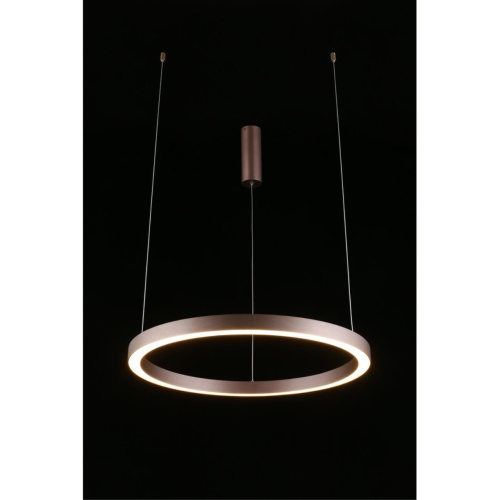 Люстра подвесная APL.025.03.48 фото 14