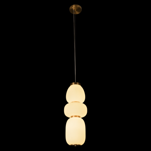 10422/C Подвесной светильник LOFT IT Duff фото 5