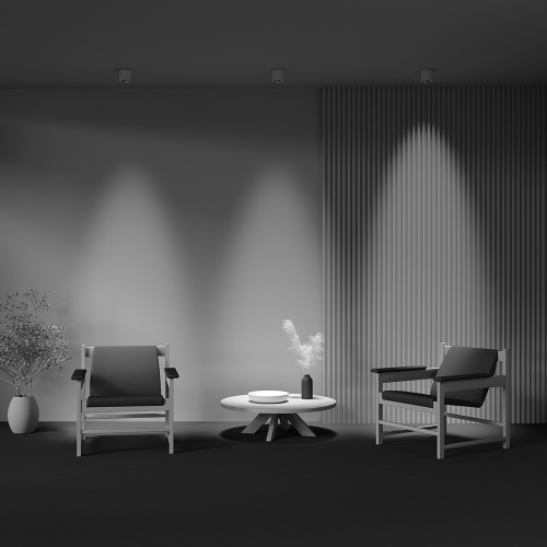 Потолочный светильник Technical C217CL-15W4K-W фото 6