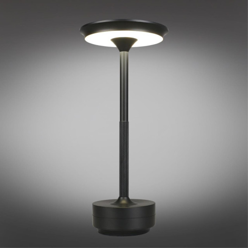 Настольная лампа APL.064.24.05 фото 3 Настольная лампа APL.064.24.05 фото 3