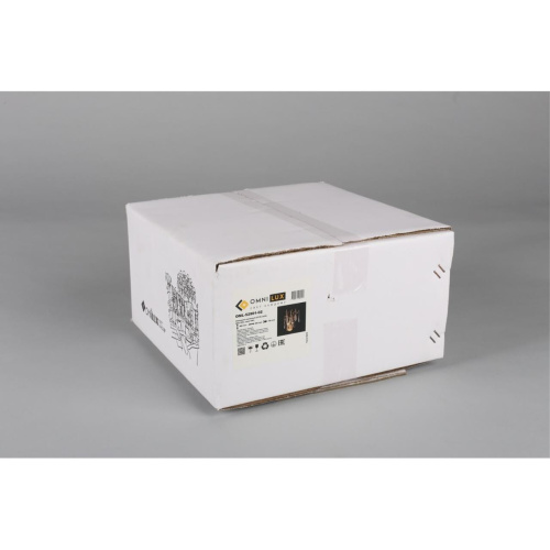 Светильник настенный (Бра) OML-52901-02 фото 10