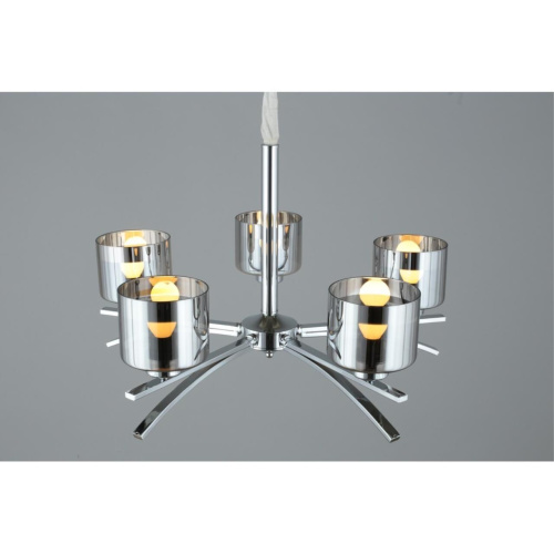 Люстра подвесная OML-55803-05 фото 8