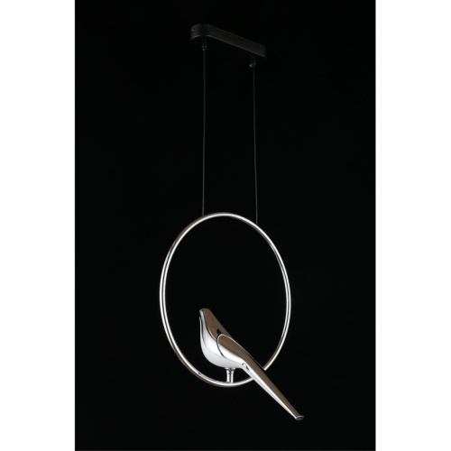 Светильник подвесной APL.822.16.10 фото 11