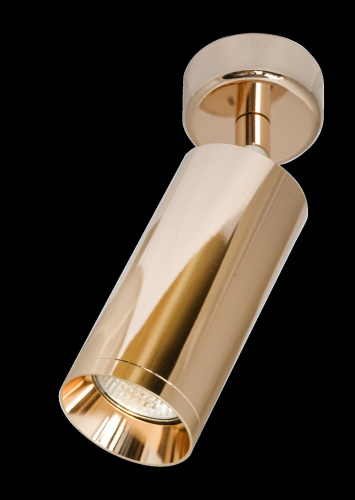 Потолочный светильник Technical C017CW-01RG фото 5