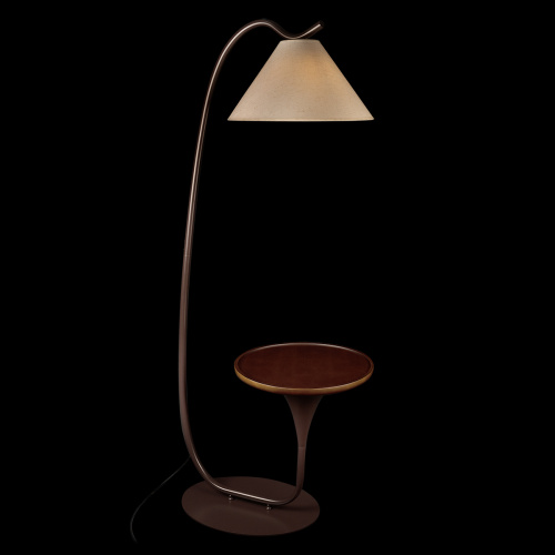 10568F Brown Торшер LOFT IT Charlotte фото 2