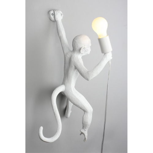 Светильник настенный (Бра) APL.309.01.01 фото 5