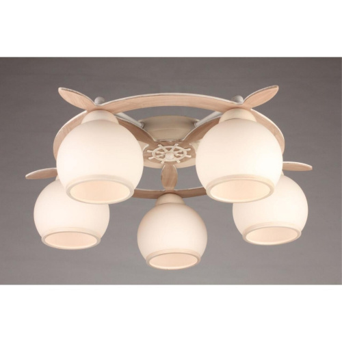 Люстра потолочная OML-50517-05 фото 3