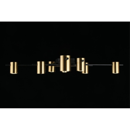 Люстра потолочная APL.633.07.08 фото 12