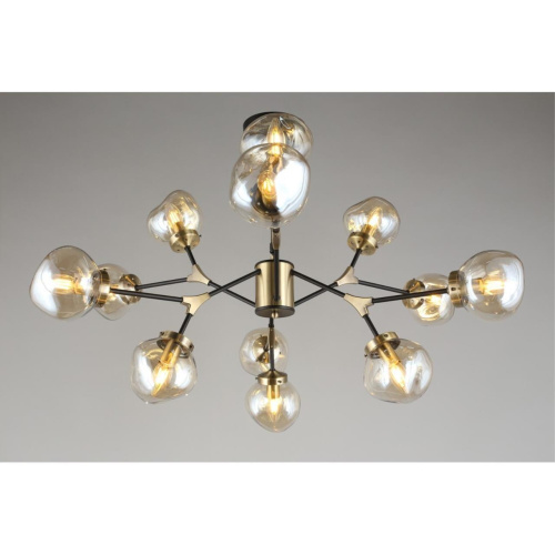 Люстра потолочная OML-95107-12 фото 7