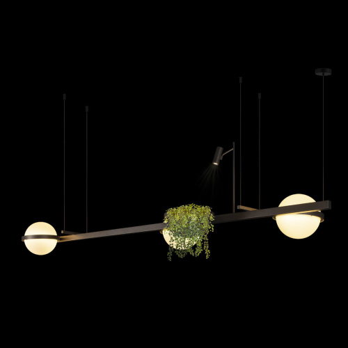 10121/C Dark grey Подвесной светильник LOFT IT Jardin фото 3