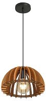 Подвесной светильник Rivoli Ivy 5111-201 Б0069914