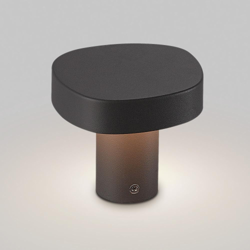 Уличный светодиодный светильник Arlight LGD-Swamp-Boll-H100-7W Warm3000 030002 фото 2