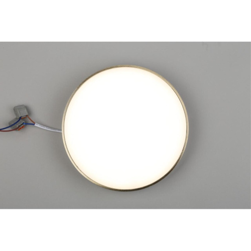 Светильник настенно-потолочный APL.0114.29.24 фото 7