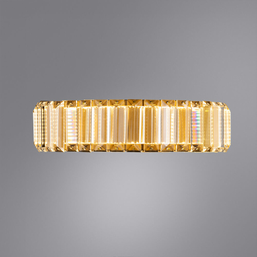 Настенный светодиодный светильник Divinare Renata 1135/17 AP-10 фото 2