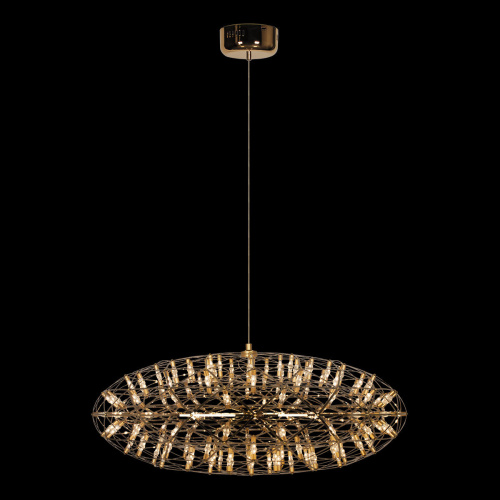 9027-75 Gold Подвесной светильник LOFT IT Raimond фото 4