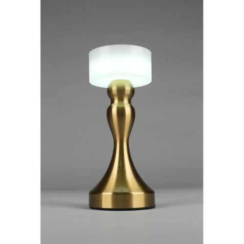 Настольная лампа OML-40304-01 фото 7 Настольная лампа OML-40304-01 фото 7