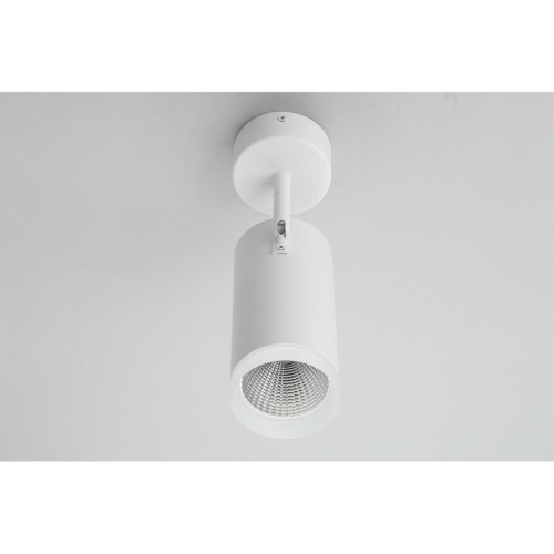 Светильник настенно-потолочный OML-102609-20 фото 7