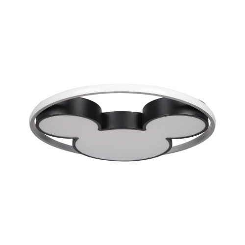 10166 Потолочный светильник LOFT IT Mike фото 4 10166 Потолочный светильник LOFT IT Mike фото 4