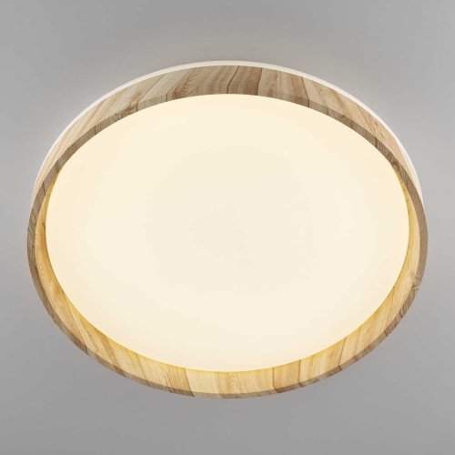 Потолочный светодиодный светильник Citilux Enzo CL753452G фото 8