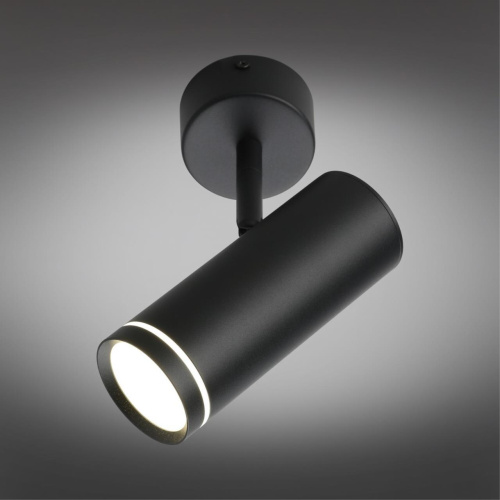 Светильник настенно-потолочный OML-102209-12 фото 3