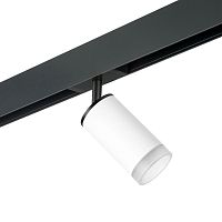 Комплект с трековым светильником Lightstar Rullo (214436+595057+202430) PRO43630