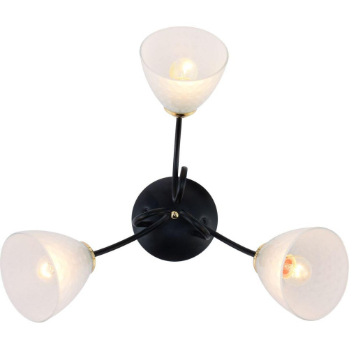 Потолочная люстра Rivoli Luiza 9140-303 Б0054903 фото 3 Потолочная люстра Rivoli Luiza 9140-303 Б0054903 фото 3