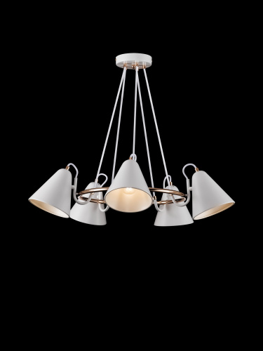 Люстра Freya FR8001PL-05WG фото 2