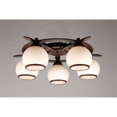 Люстра потолочная OML-50507-05 фото 5 Люстра потолочная OML-50507-05 фото 5