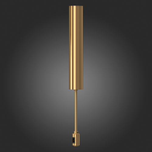 ST028.202.00 Потолочное основание для блока питания с вводом питания ST-Luce Золотистый FARM фото 3