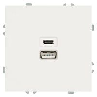 Розетка 2-местная USB + Type C (механизм), STEKKER, 250В, 20W, серия Эмили, RST10-5115-01, белый фарфор, soft touch
