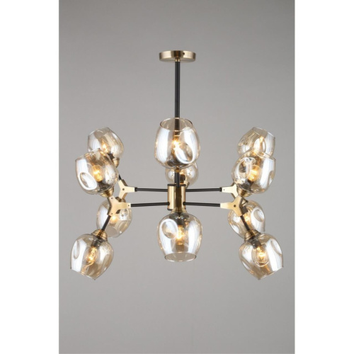 Люстра потолочная OML-93407-12 фото 5