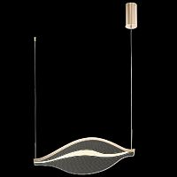 Подвесной светодиодный светильник Wertmark Hetti WE450.01.303