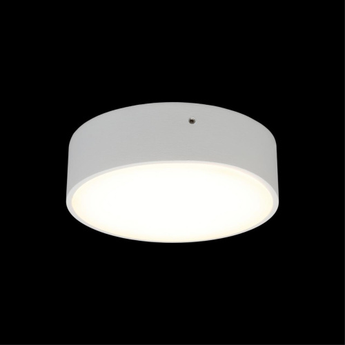 Светильник настенно-потолочный APL.0113.09.12 фото 2