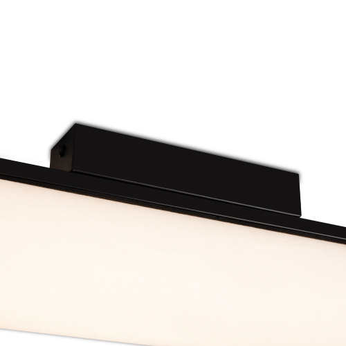 Потолочный светильник Freya FR5625CL-L20B фото 6