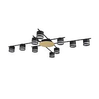 Светильник потолочный Lumion BENUA 8304/10C