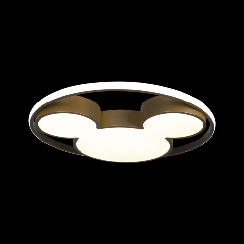 10168 Потолочный светильник LOFT IT Mike фото 3 10168 Потолочный светильник LOFT IT Mike фото 3