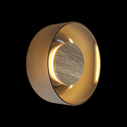 10466W Smoke matte wood Настенный светильник LOFT IT Totem фото 2