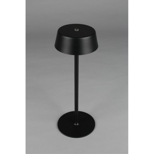 Настольная лампа OML-40504-01 фото 3 Настольная лампа OML-40504-01 фото 3