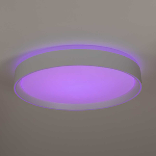 Потолочный светодиодный светильник Citilux Boss CL751350G фото 4