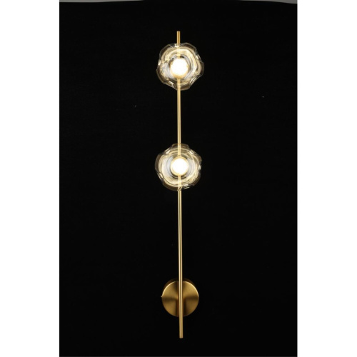 Светильник настенный (Бра) APL.074.01.02 фото 9