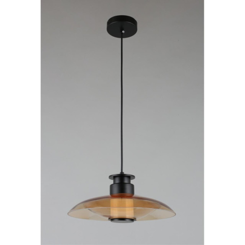 Светильник подвесной APL.648.16.10 фото 5