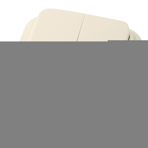 Выключатель STEKKER PSW06-22-20 двухклавишный открытой установки, 250В, 6А, IP20, слоновая кость (VA5  6-232-БЖ)