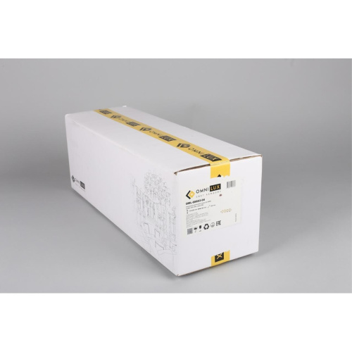 Люстра подвесная OML-68803-04 фото 4