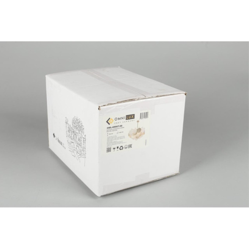 Люстра потолочная OML-89907-06 фото 2