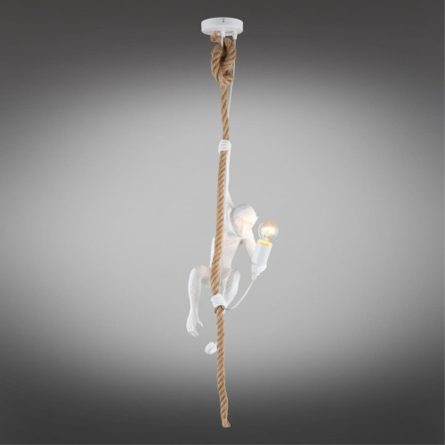 Светильник подвесной APL.309.06.01 фото 2