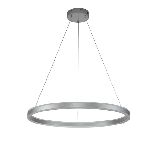 Подвесной светильник 14001/1P Silver фото 2