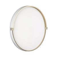 Настенно-потолочный светильник Sonex OLIDI WHITE 7646/DLN